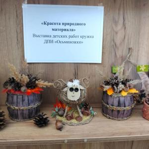 06.10.2026г. "Красота природного материала".