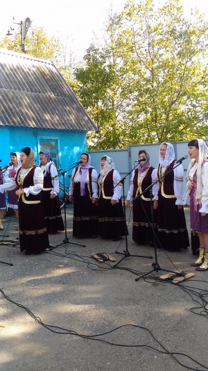 14 октября православными христианами отмечается один из великих церковных праздников – Покров Пресвятой Богородицы.